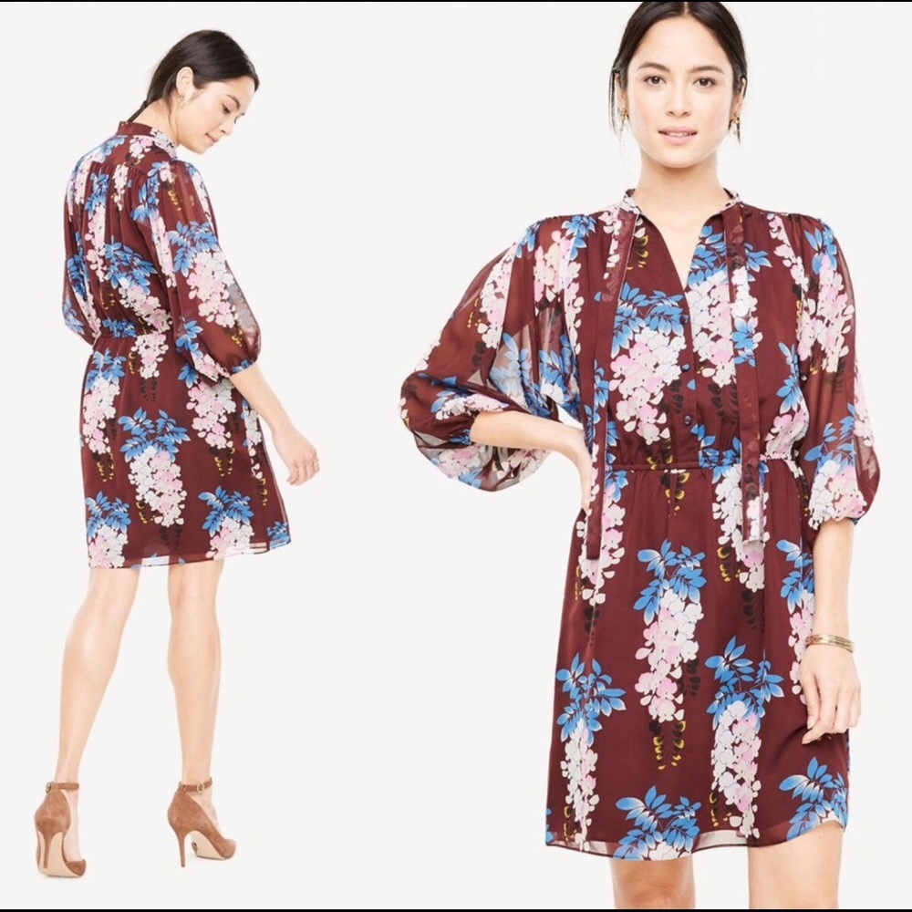 Ann Taylor Dress